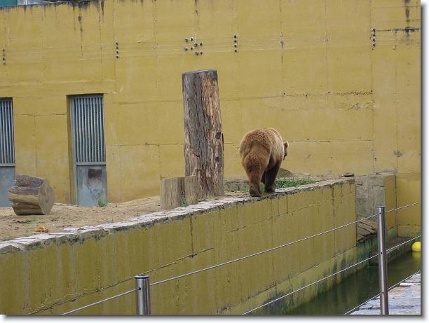 Diapositiva siguiente